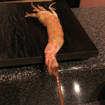 たつかわ - 車海老 もちろんうまい。ちとだけ火が入ってた