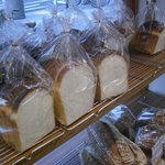 VESTA - それでもちょこちょこあります