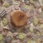 傳 - （2017年1月  訪問）店内の一部。傳スタッフが皆で造り上げた壁画（？）。ムンクの叫びらしきものやニコちゃん、キノコや音符も見えるぞ。