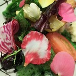 傳 - （2017年1月  訪問）定番サラダは変わりなく。