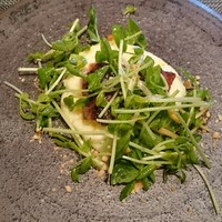 Wattle Tokyo - 