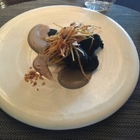 Wattle Tokyo - 