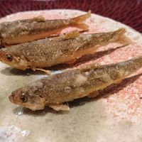 日本料理 晴山 - もろこの天ぷら