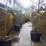 サ・マーシュ - 