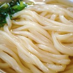 かけうどん ズーム