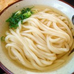 かけうどん
