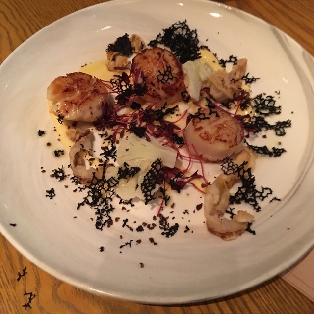 閉店 Salvatore Cuomo 表参道ヒルズ サルヴァトーレ クオモ 表参道 ピザ 食べログ 閉店 Salvatore Cuomo 表参道ヒルズ サルヴァトーレ クオモ 表参道 ピザ 食べログ