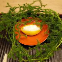 緒方 - 