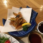 魚将　さかなちゃん - 