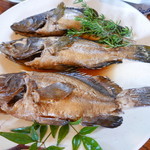 魚山人 - きじはたとくえ