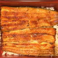 つきじ宮川本廛 - 