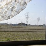 ロッキーバーガー 利根店 - 窓の外にはのどかな田園風景