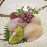 小料理 すず乃 - 秋田　真子鰈、青森　帆立、三陸　鰹