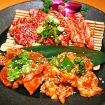 Yakiniku Gen - 特選ハラミ、ホルモン