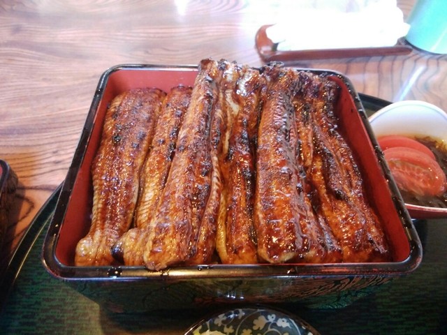 うなぎ源氏 韮山 うなぎ 食べログ