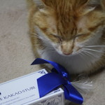 ホレンディッシェ・カカオシュトゥーベ - 撤退は悲しいにゃ～