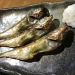 恵比寿 - 