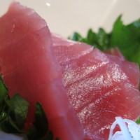 かな吉 tomix 92197 キハ66 67 復活国鉄色 2両セット 室内灯付き tomix