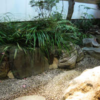 網元本館 - 