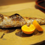 鞍馬口 寿星 - のどぐろ塩焼