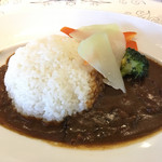 KYODO406 - 松橋牛カレー