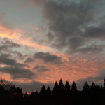 天空の森 - 朝焼け