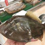 Filefish sashimi