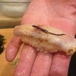 鮨処 多田 - 握り　白甘鯛の昆布〆