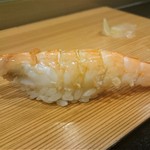 鮨処 多田 - 握り　しらさ海老　 ※NGなので食べてません