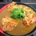 鷄天カレーうどん ＜人気＞