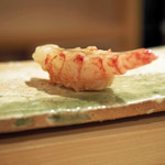 東麻布 天本 - 銚子港であがったぶどうえびの握り