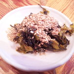 無鉄砲 - 激辛高菜(H22.12)