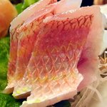 七伍屋 - お刺身