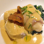 セラフィーノ - 