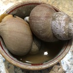 まめたん - つぶ貝