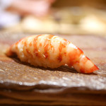 鮨 さいとう - 車海老