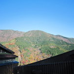 NARAYA CAFE - お店から見た紅葉♪