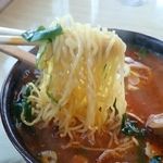 大阪屋 - 麺アップ