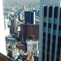 土佐料理 祢保希 新宿店 - 
