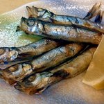 居酒屋だいだい - ししゃも