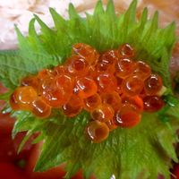福の井 一乃松 - いくら醤油漬
