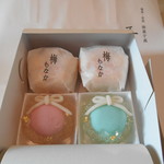 五島 - 梅もなか&クリスマス仕様の生菓子♡