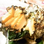 はてなのちゃわん - さざえ