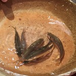 銀座 しのはら - 元気に泳ぐ琵琶湖のモロコ