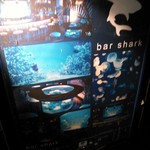 bar shark - 