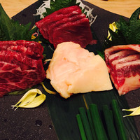 宇田川 紫扇 - 