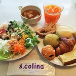 S.colina - 