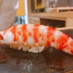 鮨 はしもと - 2016.12.  車海老