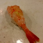 鮨匠 のむら - ナミクダヒゲエビ