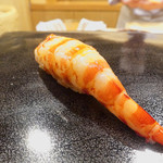 日本橋蛎殻町 すぎた - 車海老